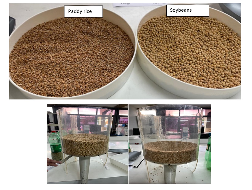 Rice Cover